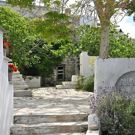 Kariki Triantaros Tinos Appartement *