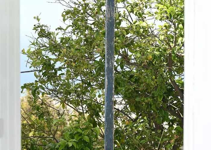 Kariki Triantaros Tinos Appartement